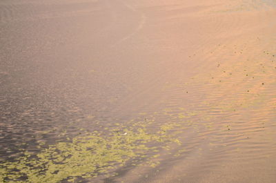 High angle view of beach