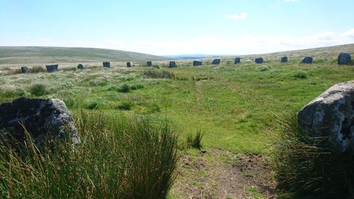 Scenic view of field against sky