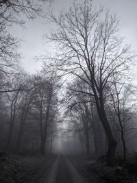Bare trees by road against sky during foggy weather