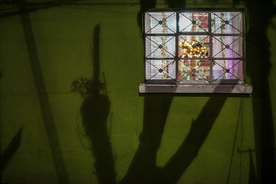 Shadow of flower on window
