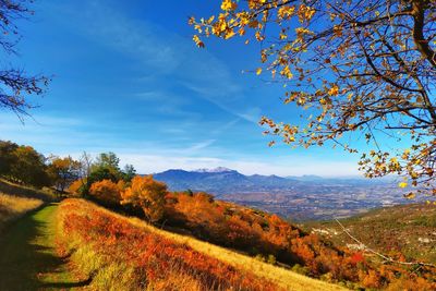 Scenic view of trees against sky during autumn