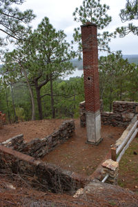 Abandoned built structure on field against trees in forest