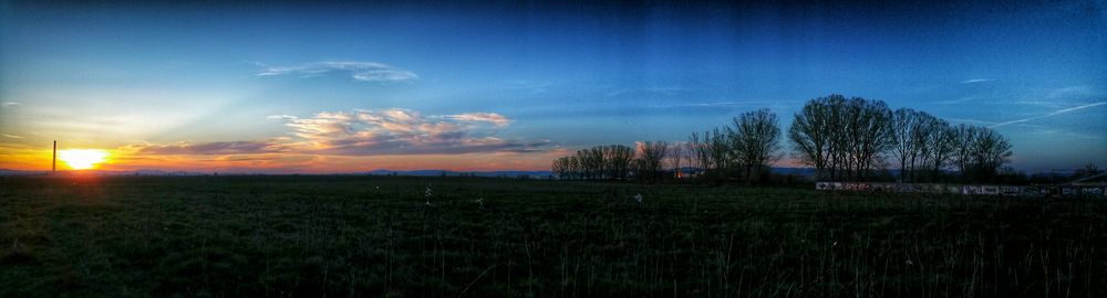 Scenic view of grassy field against sky at sunset