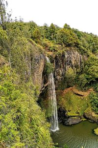 Scenic view of waterfall in forest