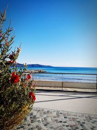 Scenic view of sea against clear blue sky