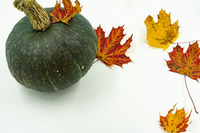 High angle view of pumpkin on white background