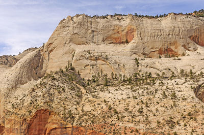 Sculpted white sandstone on a sunny day from angels landing in zion national park in utah