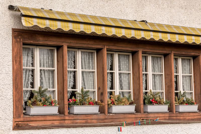 Potted plants on window of building