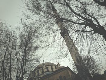 Low angle view of bare trees against buildings