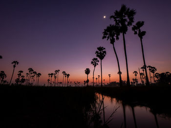 Silhouette palm trees by lake against sky at sunset
