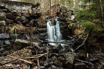 Stream flowing through forest