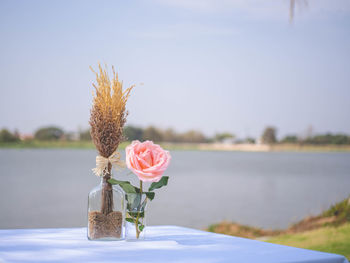 Close-up of pink flower on table by lake against sky