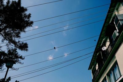 Low angle view of power cables against sky