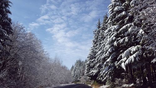 Trees on snow covered landscape against sky