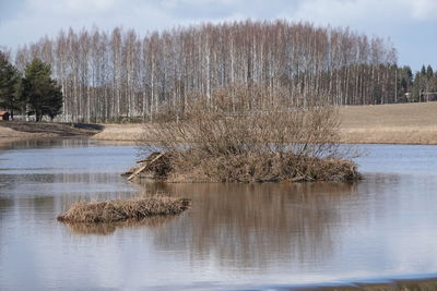 Scenic view of lake by trees against sky