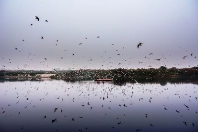 Flock of birds flying over lake against sky