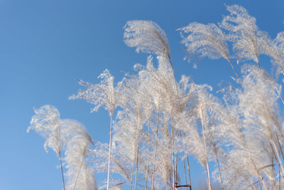 Low angle view of statue against blue sky