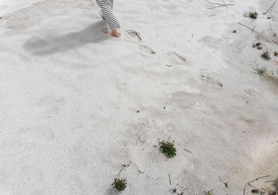 Low section of person walking on sand at beach