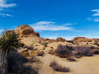 Scenic view of landscape against blue sky