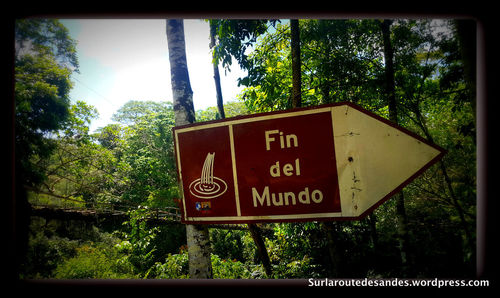 Low angle view of information sign in forest