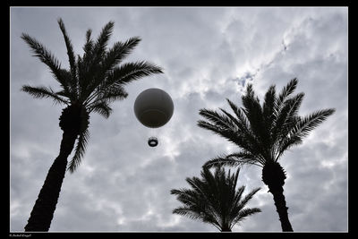 Low angle view of silhouette palm trees against sky