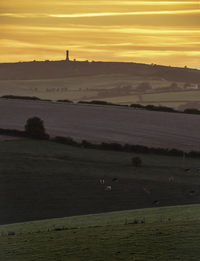 Scenic view of field against sky during sunset