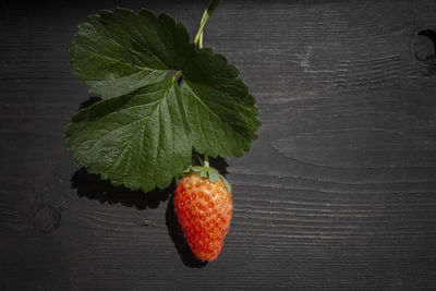 High angle view of fruits on table