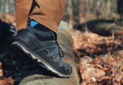 Low section of person standing on tree trunk in forest