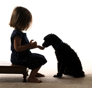 Side view of a girl playing with dog against white background