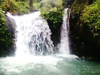 View of waterfall in forest