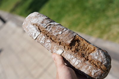 Close-up of hand holding wood