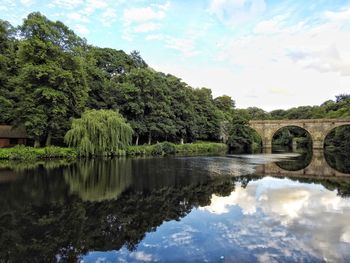 Scenic view of lake by trees against sky