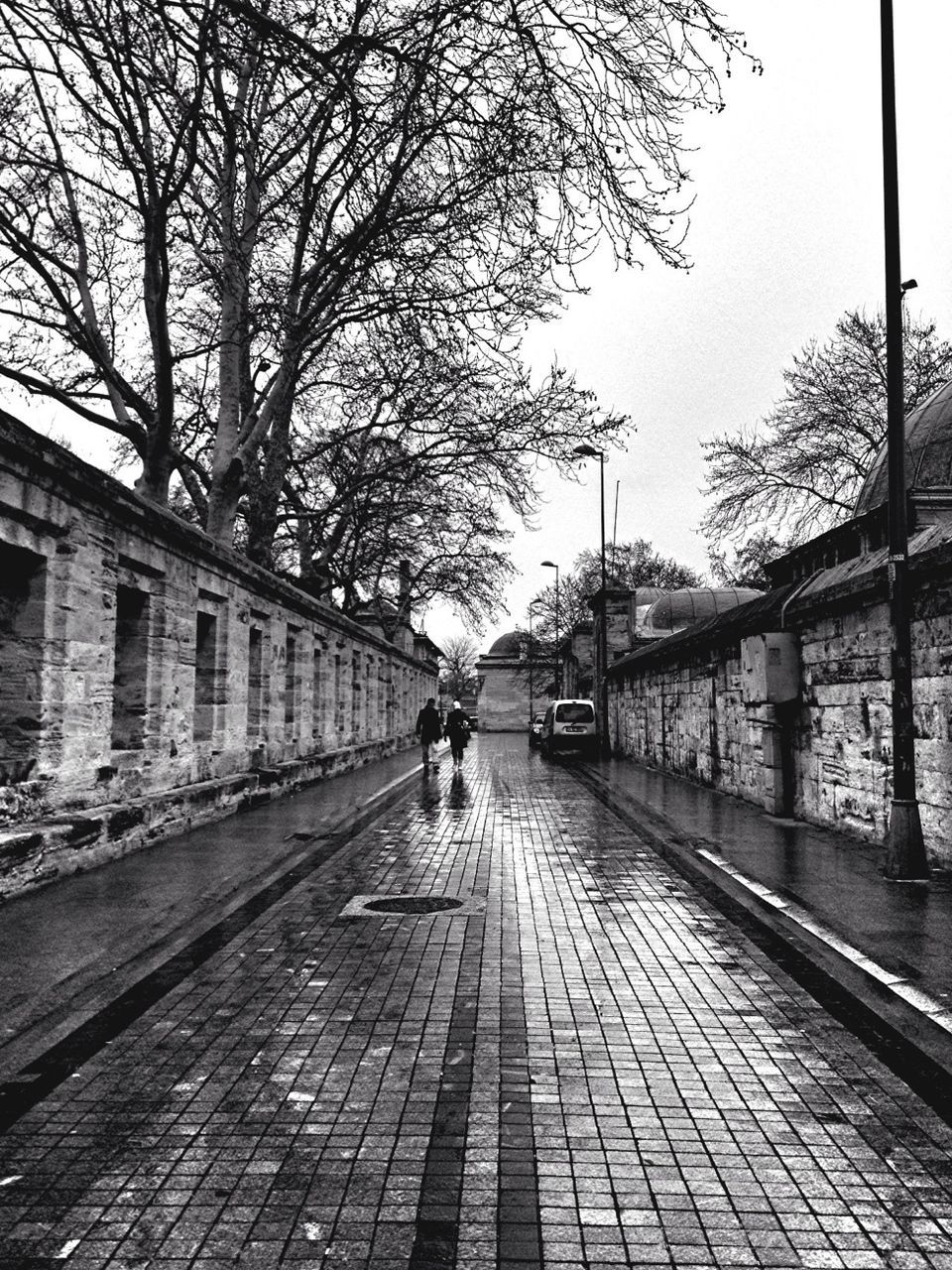 the way forward, walking, building exterior, architecture, built structure, bare tree, tree, full length, city, transportation, rear view, diminishing perspective, street, lifestyles, men, city life, vanishing point, person