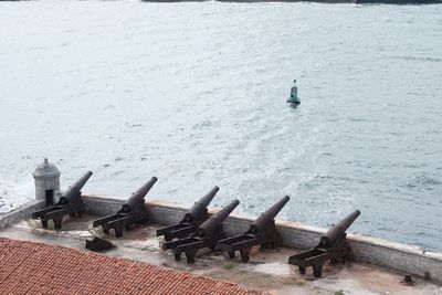 High angle view of horse in sea