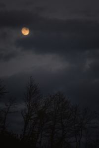 Low angle view of silhouette trees against sky at night