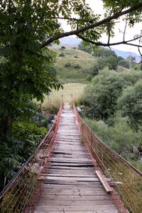 Narrow wooden footbridge along trees