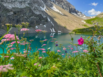 Scenic view of lake and mountains against sky