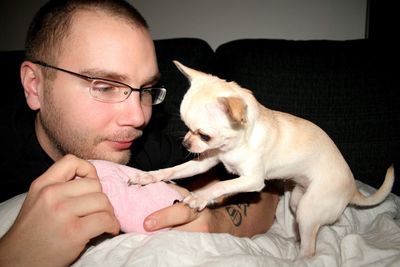 Man and chihuahua playing