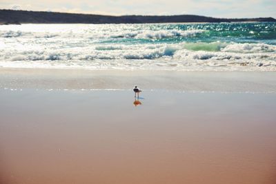 Scenic view of sea