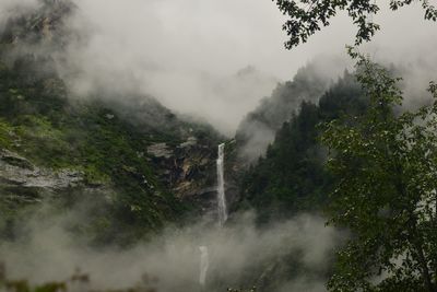 Scenic view of waterfall in forest against sky