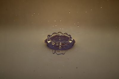 High angle view of bubbles in water