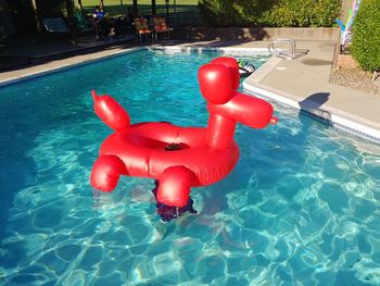 High angle view of red toy floating in swimming pool