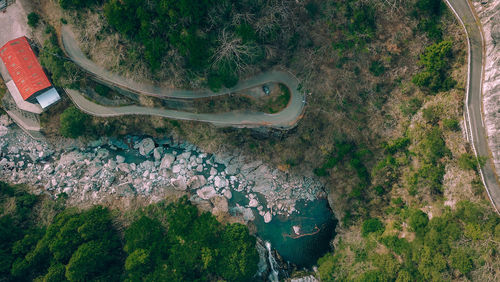 High angle view of plants on land