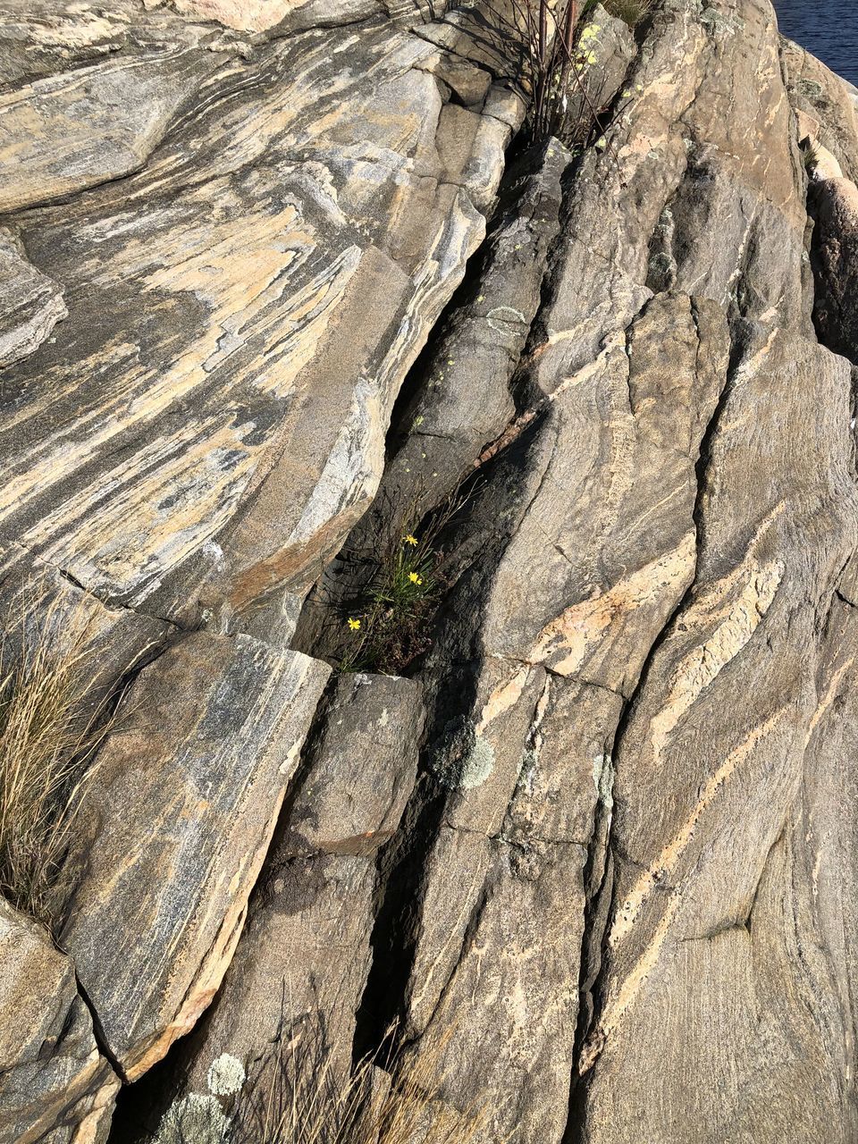 VIEW OF A ROCK