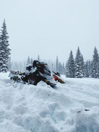 Montana snowmobiling 