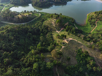 High angle view of trees on landscape