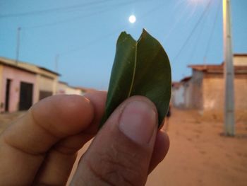 Close-up of hand holding leaf against sky