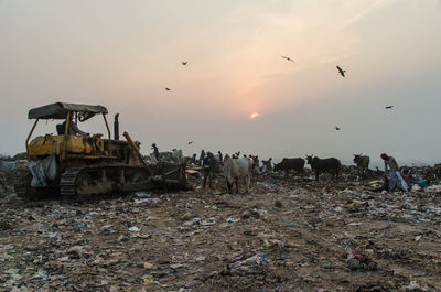 Group of people on the ground