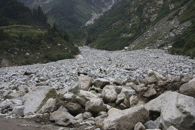 Rocks in stream