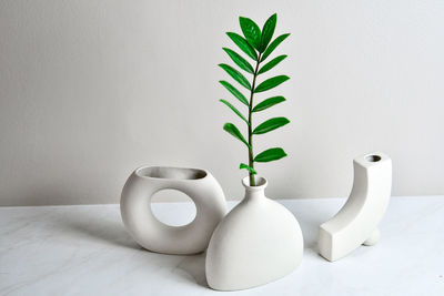 Close-up of potted plant on table against white wall